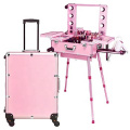 Professional Artist Makeup Case with Lights Aluminum Trolley Train Beauty Case with LED Mirror